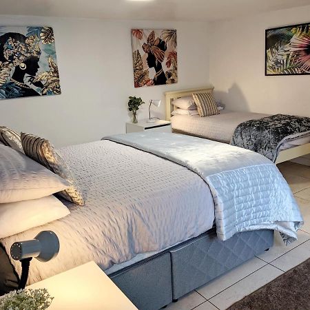 Forest View Impeccable Two Bedroom House Rostrevor Extérieur photo